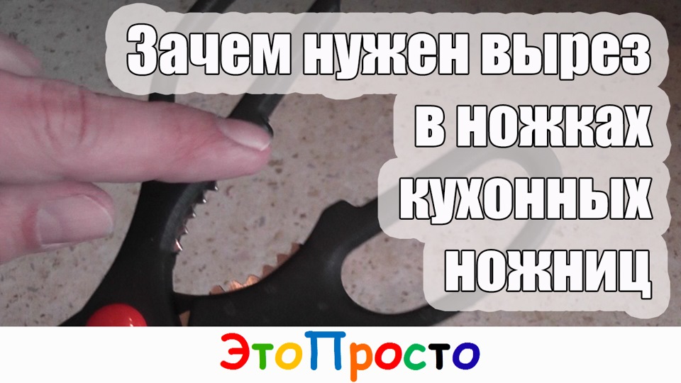 для чего на ножницах выступ. Смотреть фото для чего на ножницах выступ. Смотреть картинку для чего на ножницах выступ. Картинка про для чего на ножницах выступ. Фото для чего на ножницах выступ