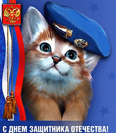 Днем, с 23 февраля вдв картинки