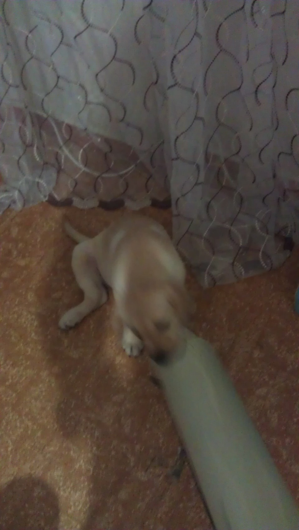 fg3582s 960 ΠΠ°ΠΊ ΠΎΠ±ΠΊΠ»Π΅ΠΈΡΡ ΠΎΠ±ΡΠΈΠ²ΠΊΡ Π΄Π²Π΅ΡΠ΅ΠΉ ΡΠΊΠΎΠΊΠΎΠΆΠ΅ΠΉ Π² Π°Π²ΡΠΎΠΌΠΎΠ±ΠΈΠ»Π΅