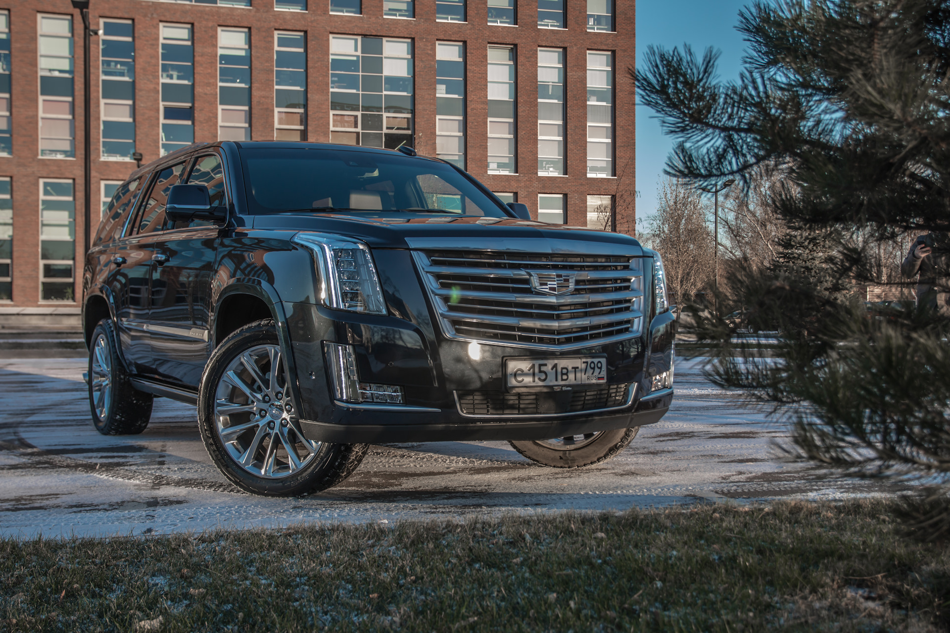 cadillac escalade