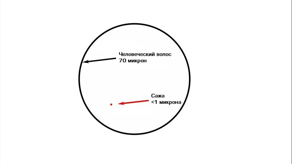 Толщина волоса в микронах. Диаметр волоса. Размер волоса человека. Диаметр человеческого волоса.