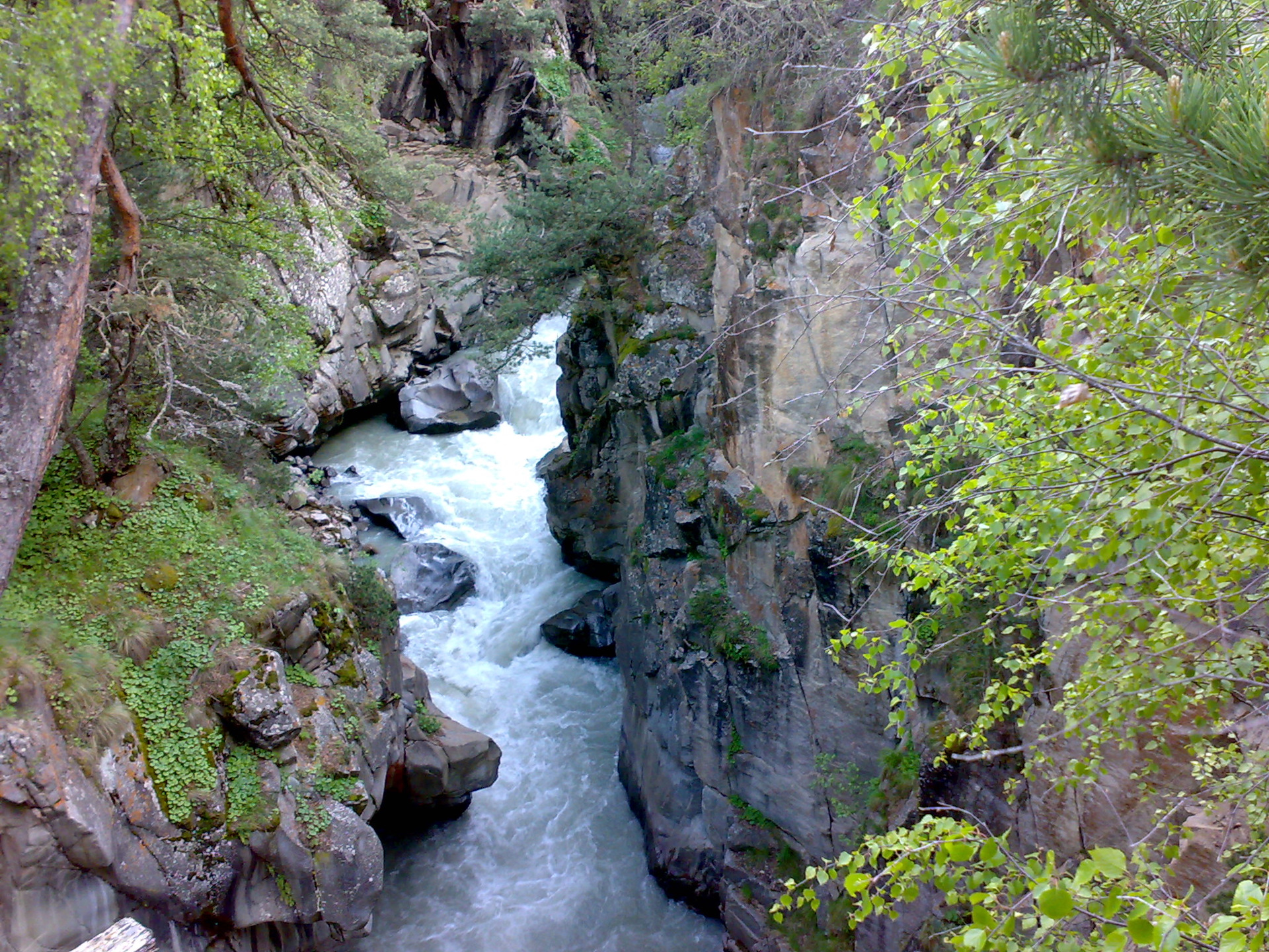 https://a.d-cd.net/fjy5GPbHN7HD8-nhFZRETG4FDCU-1920.jpg