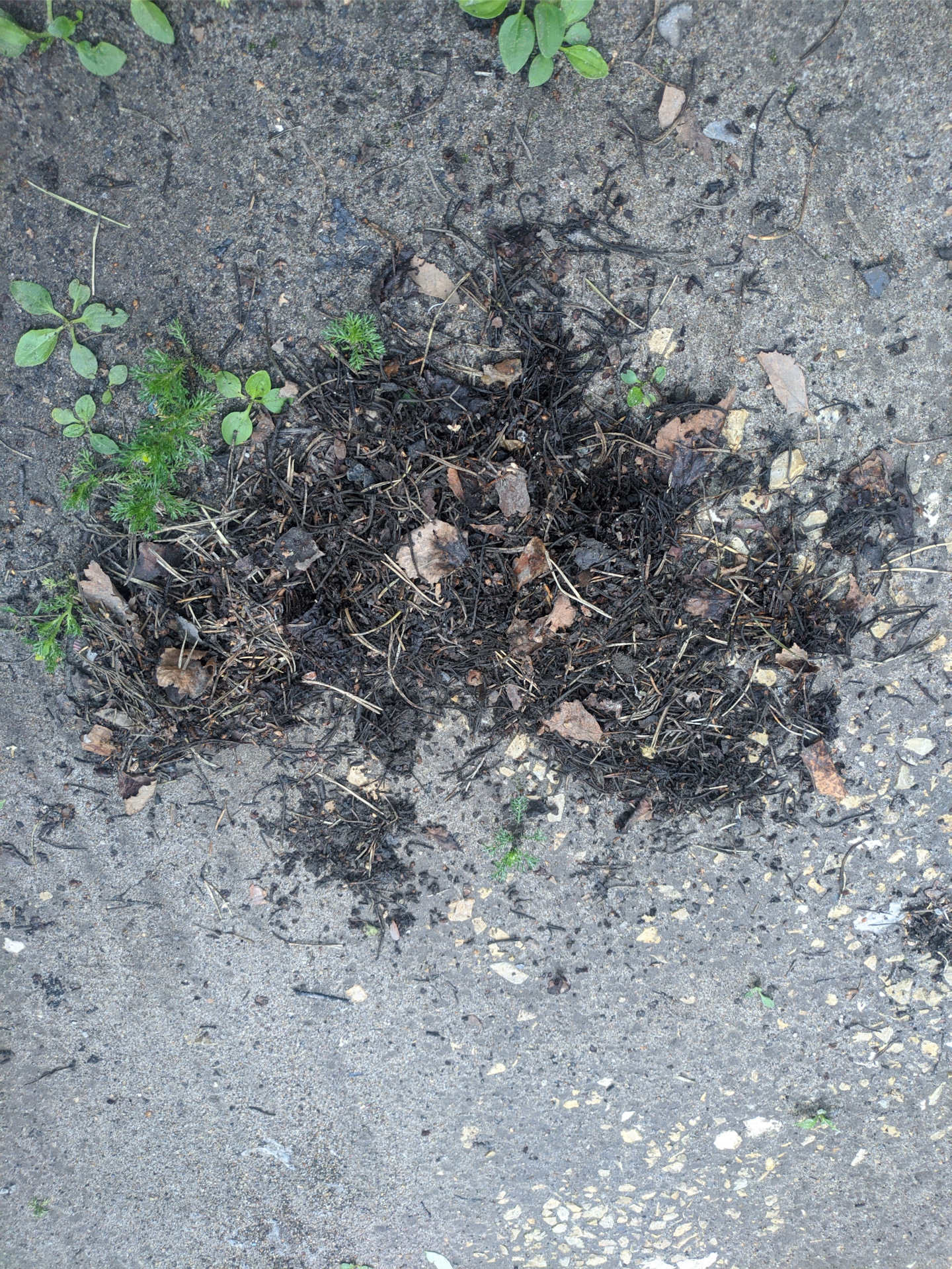 Замена салонного фильтра и чистка кондиционера — Lada Калина хэтчбек, 1 ...