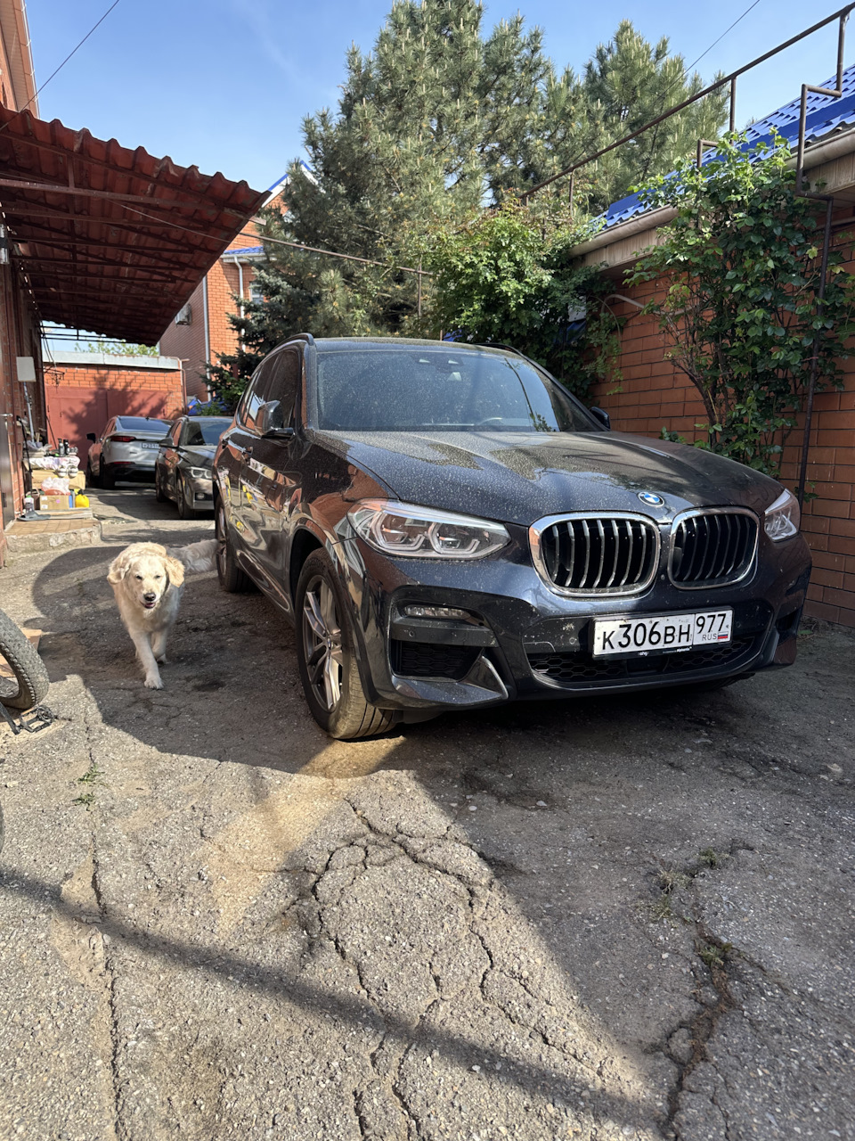 Замена роликов и приводного ремня. 1700 км по России — BMW 3 series Touring  (F31), 2 л, 2018 года | визит на сервис | DRIVE2