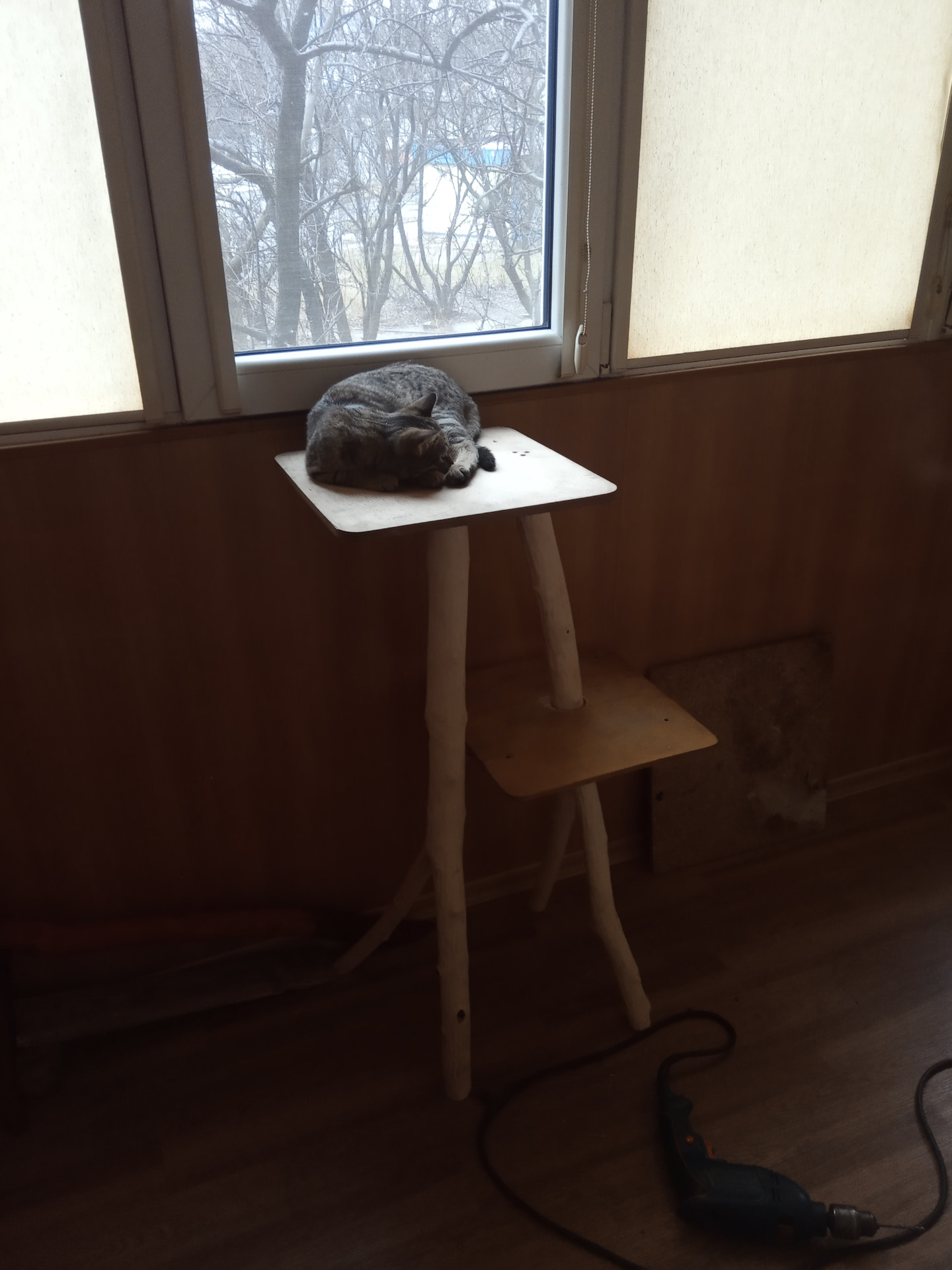 Когтеточка и гамак для кота — Сообщество «Сделай Сам» на DRIVE2