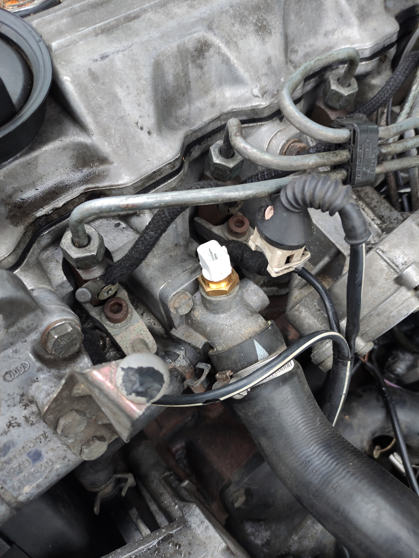 Замена датчика ОЖ — Audi 100 (C4), 2,5 л, 1992 года | электроника | DRIVE2