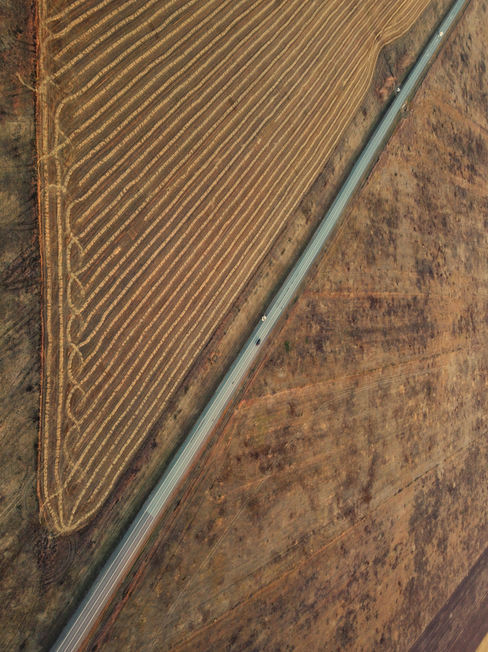 Красота, которую можно увидеть сверху — Suzuki Alto (8G)