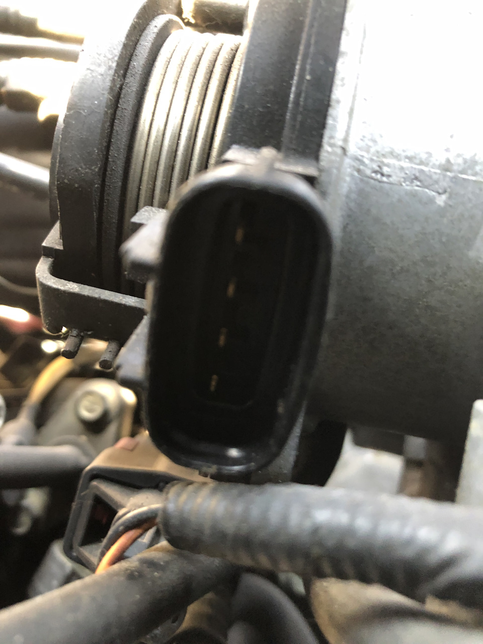 Промывка контактов датчика положения дроссельной заслонки. — Jaguar XJR ...