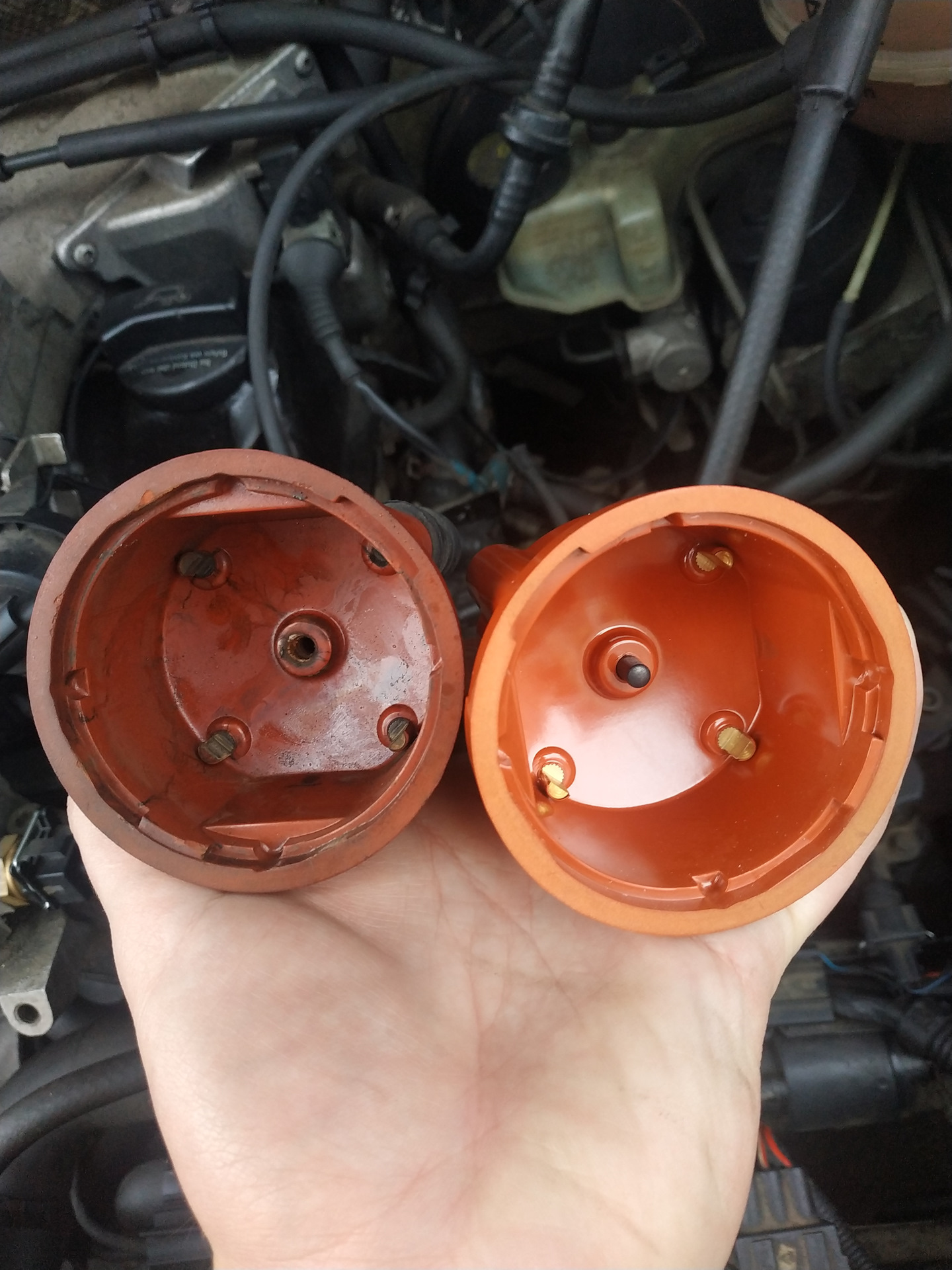 фото крышки трамблера