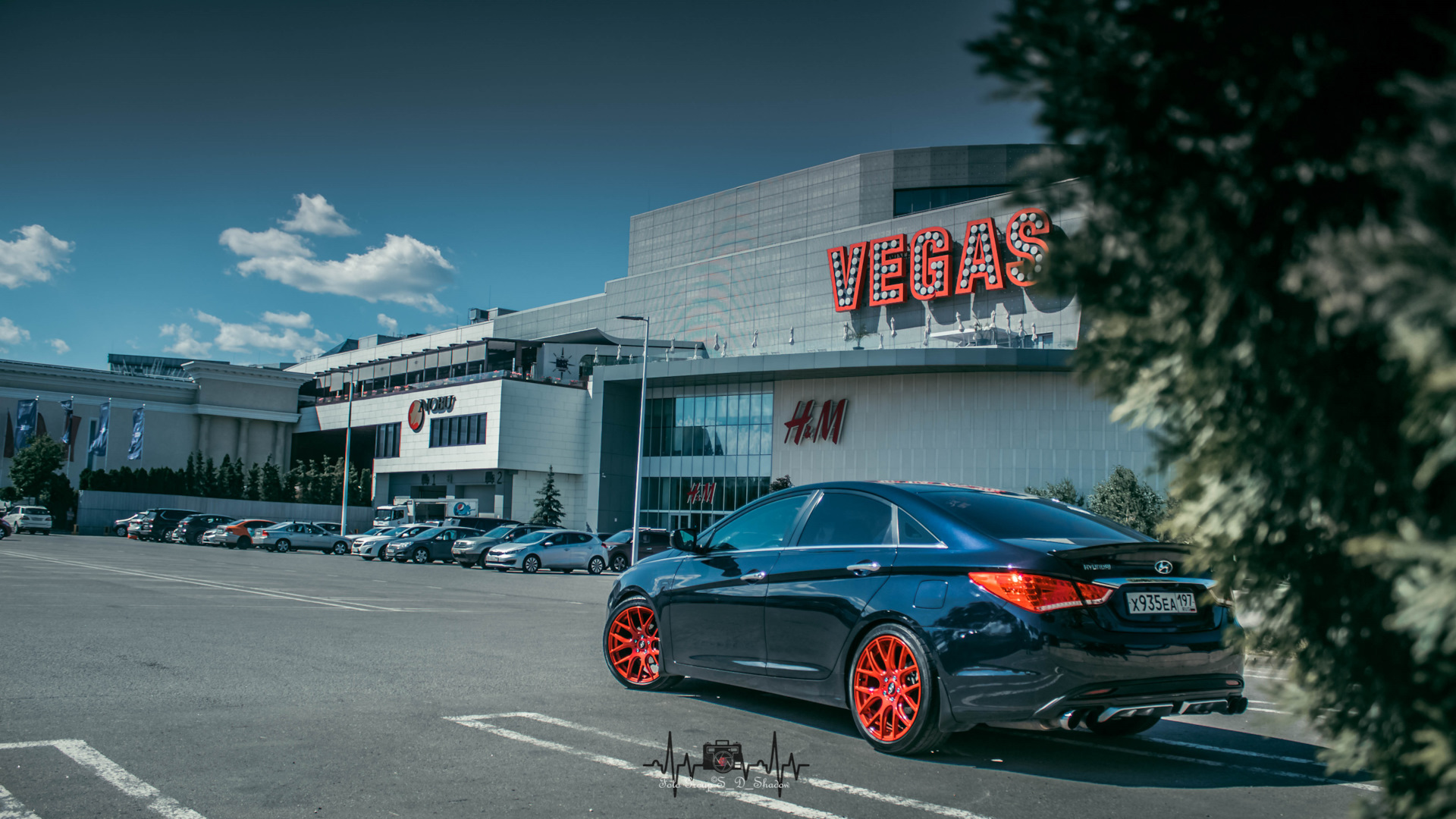 Матовый очиститель пластика салона Sonax 357241 — Volkswagen Jetta VI ...