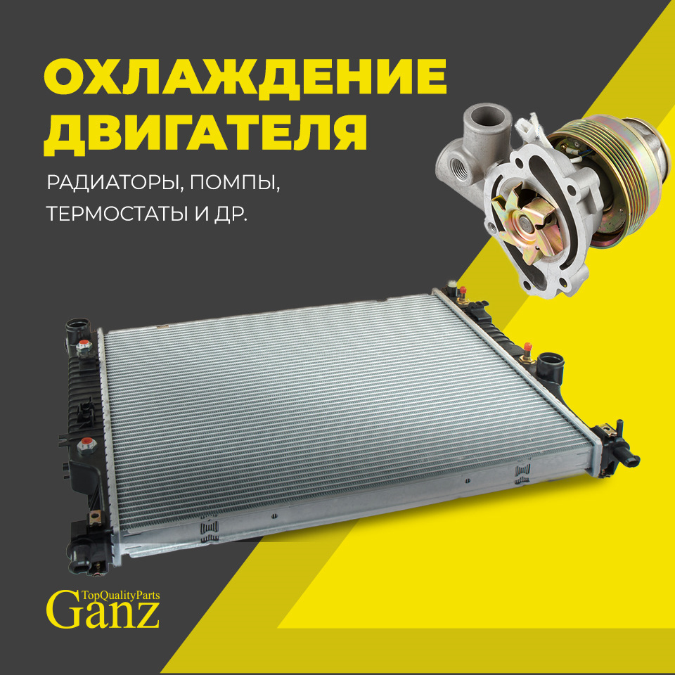 GANZ: отзывы, цены, фото