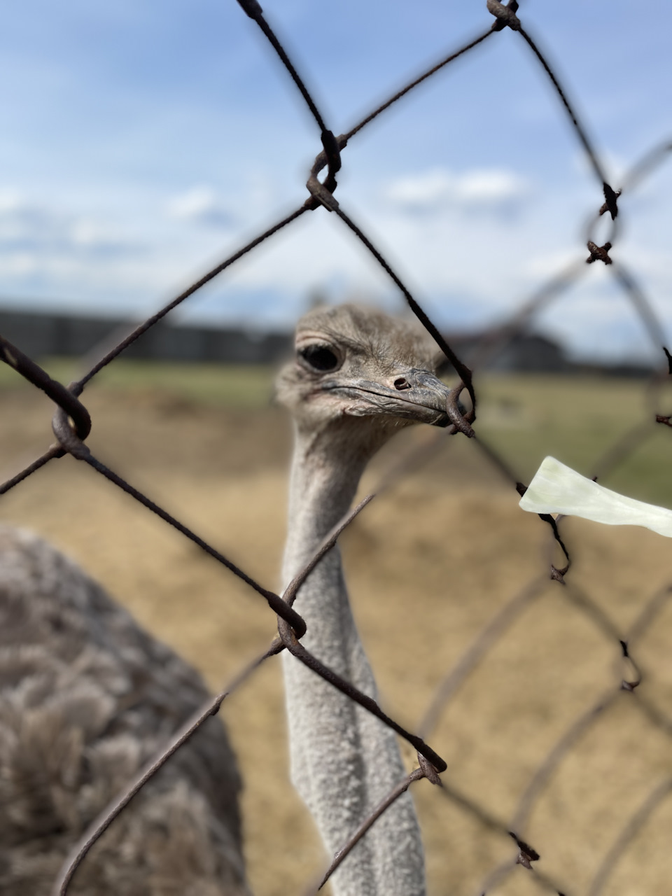 Фото в бортжурнале Toyota Land Cruiser 100