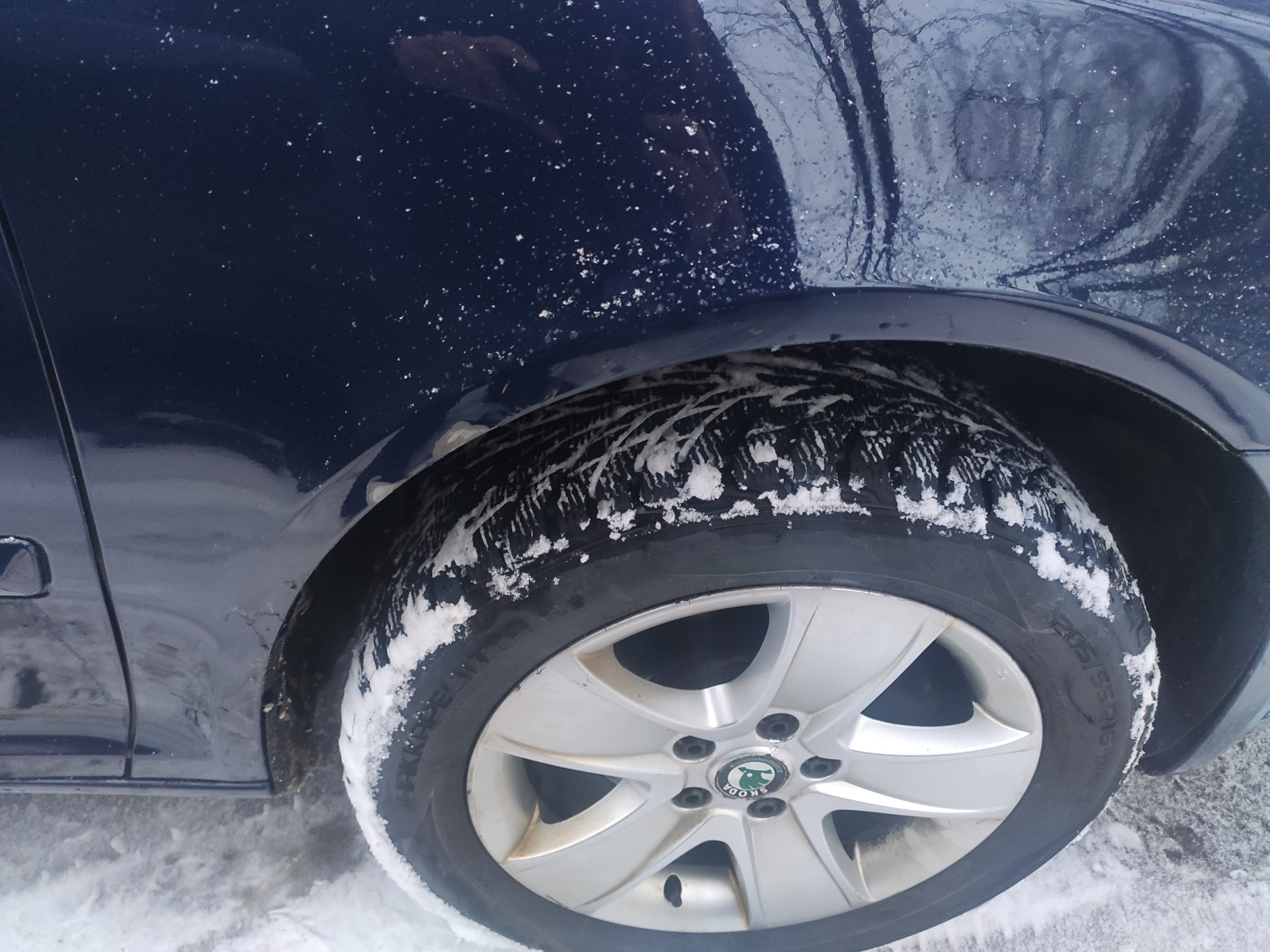 Нужен проверенный маляр в СПБ — Skoda Octavia A5 Mk2, 1,6 л, 2011 года ...