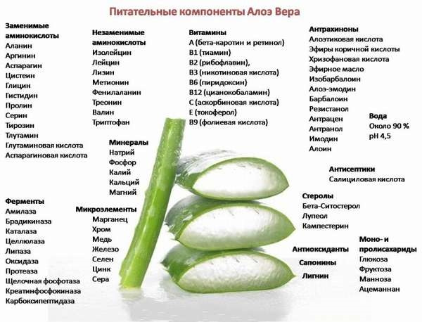 Сок алоэ для похудения отзывы