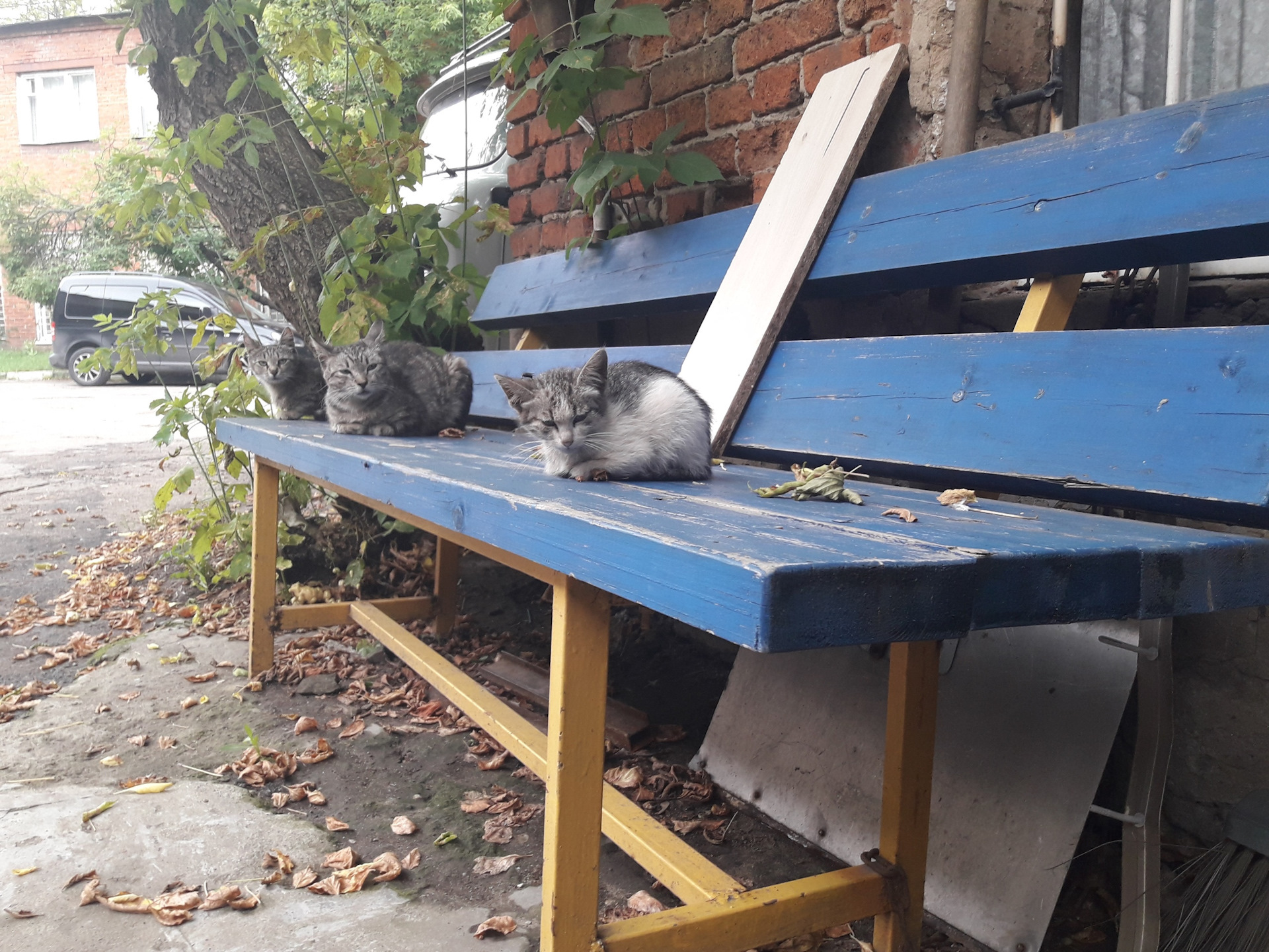 Шпильки в вместо болтов бугелей и заднюю крышку ГБЦ змз 406.Карл, этой ...