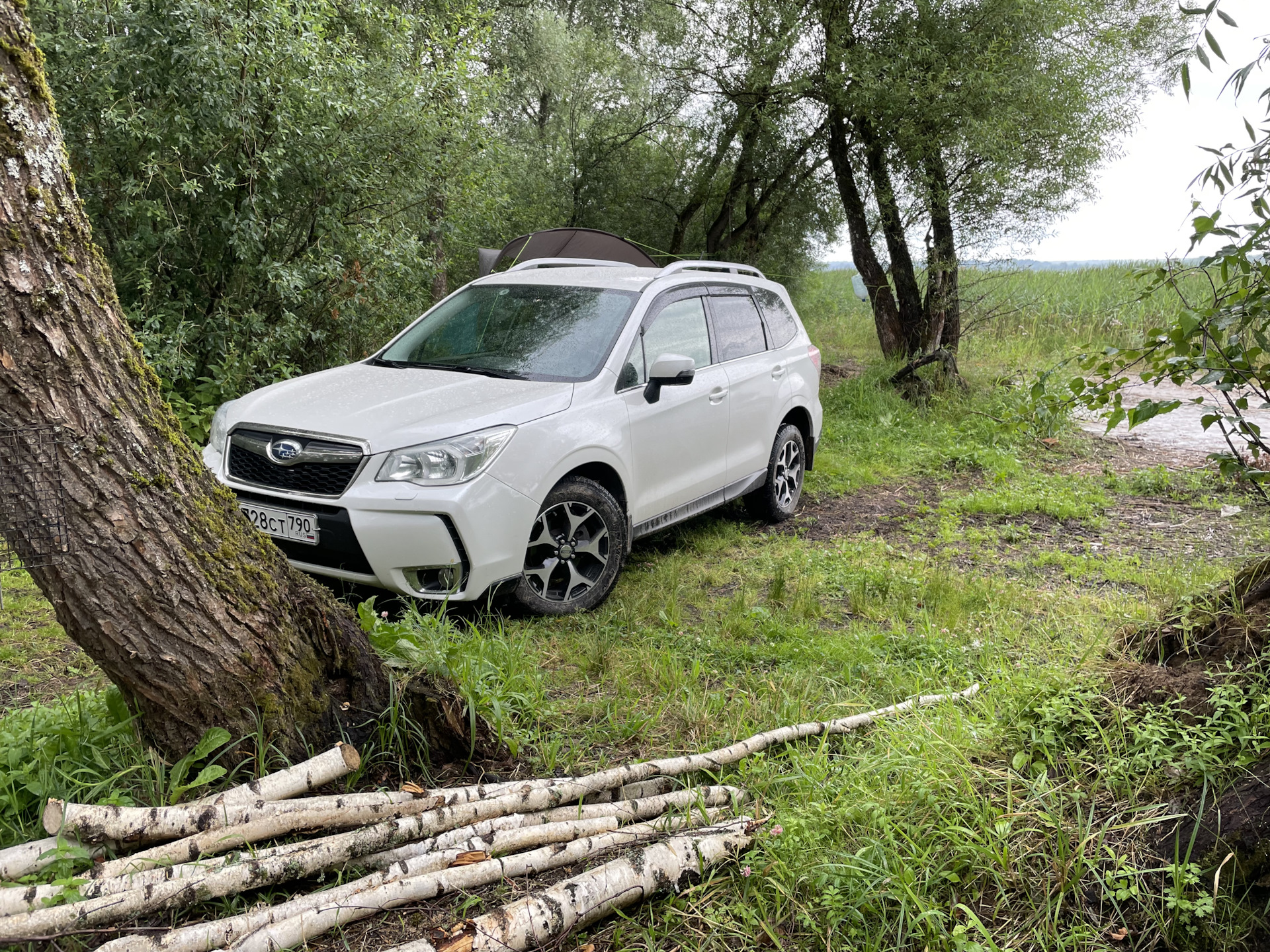 Немного о недавних поездах (Руза, Истра, Сергиев Посад, Звенигород и пр.) —  Subaru Forester (SJ), 2,5 л, 2014 года | путешествие | DRIVE2