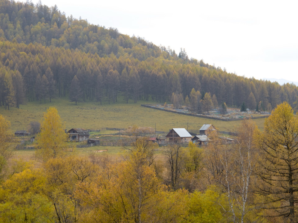 Машины на столбах алтай