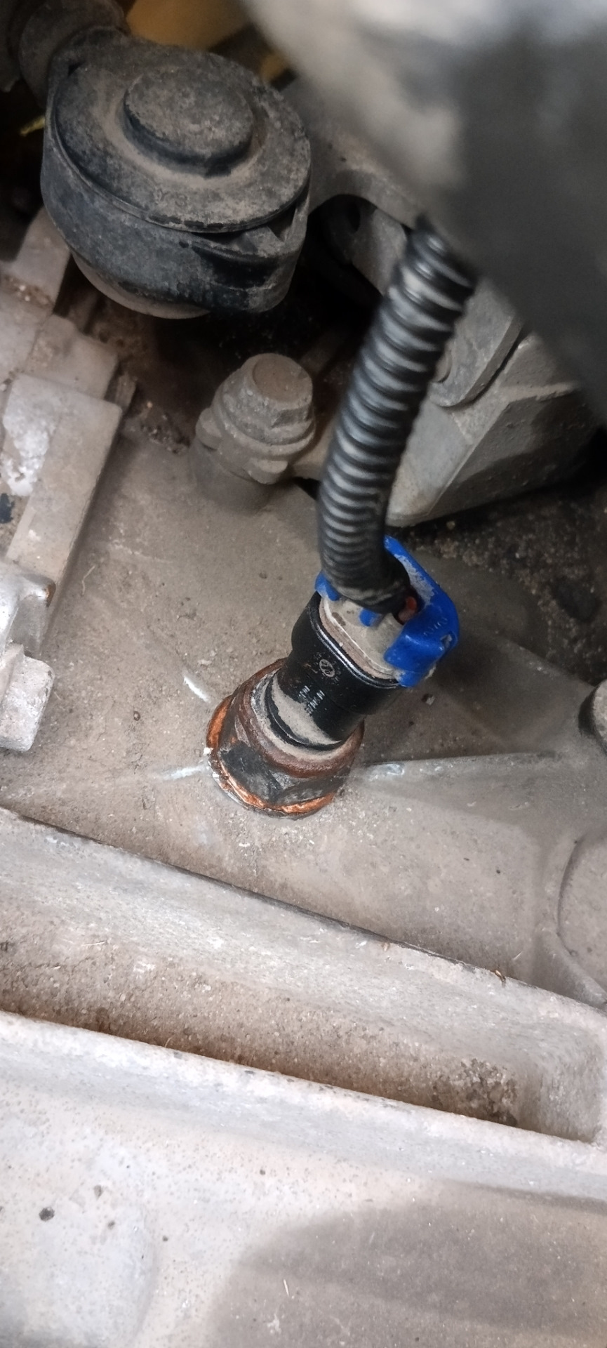 Фото в бортжурнале Lada Гранта Лифтбек (2G)