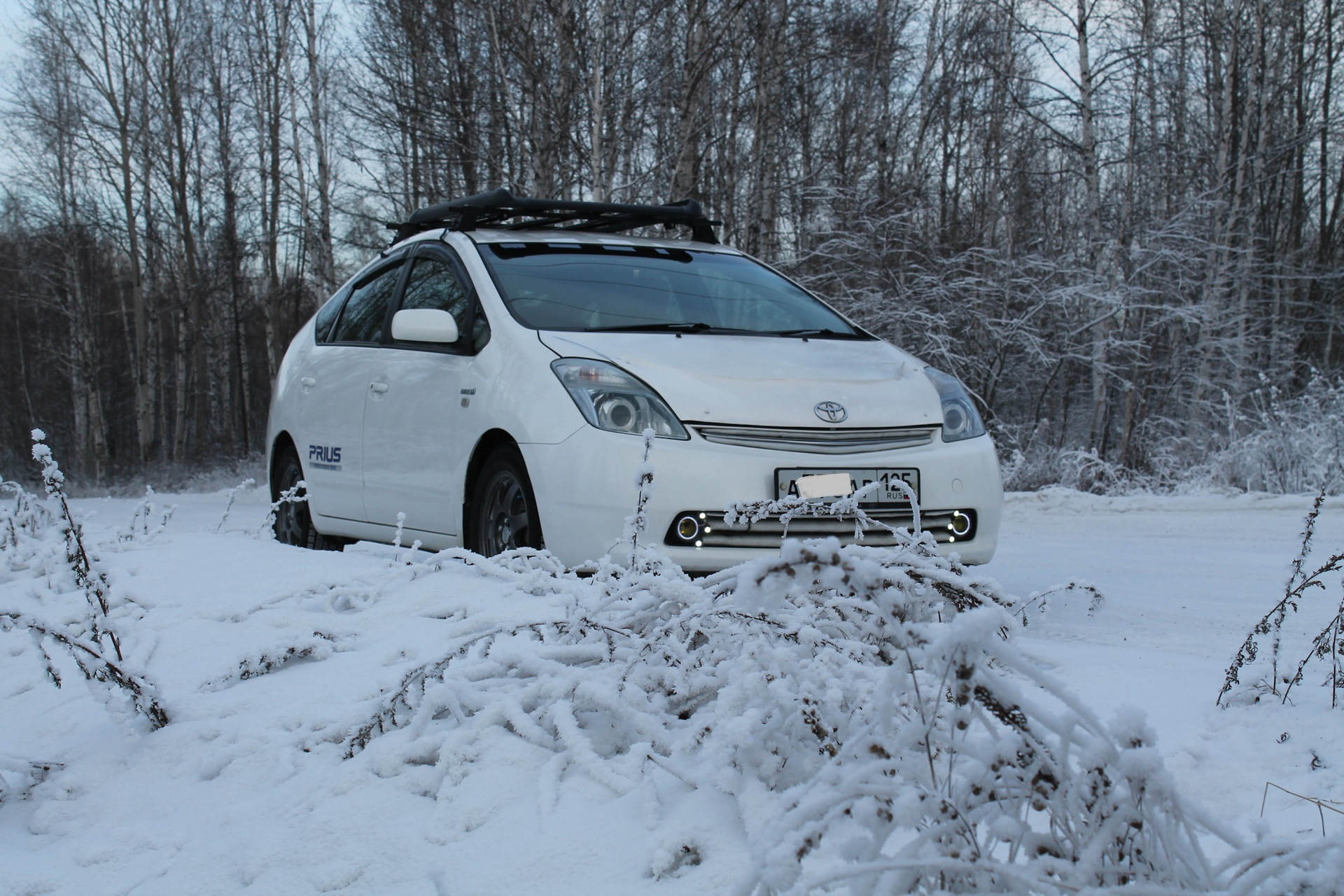 Тойота виста 30 кузов. Тойота в забайкальском крае. Тойота авенсис 2007 баклажан. Toyota isis. Тойота в забайкальском крае.