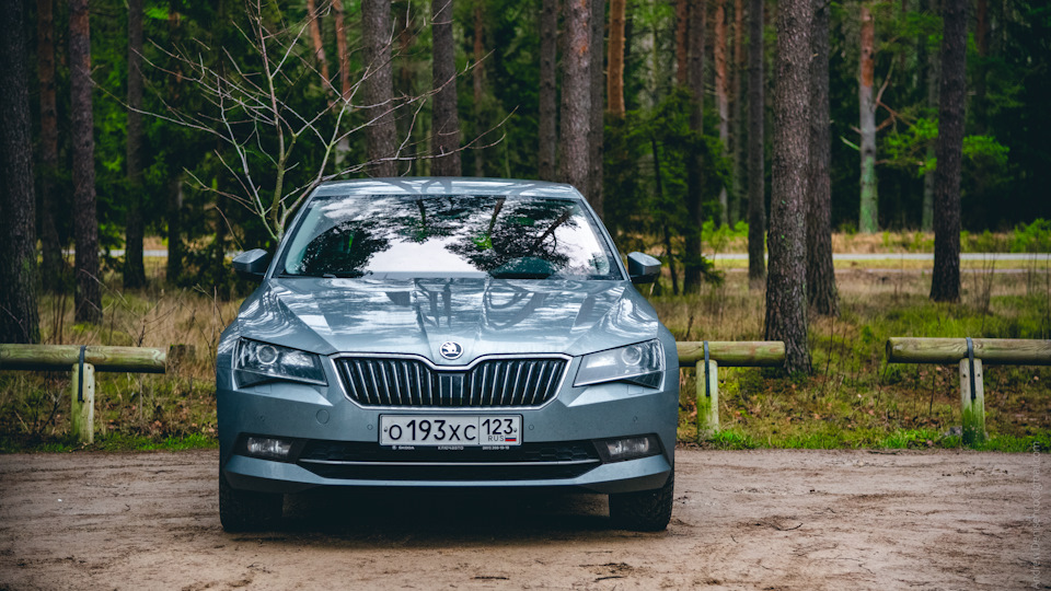 Skoda Superb Winter Forest