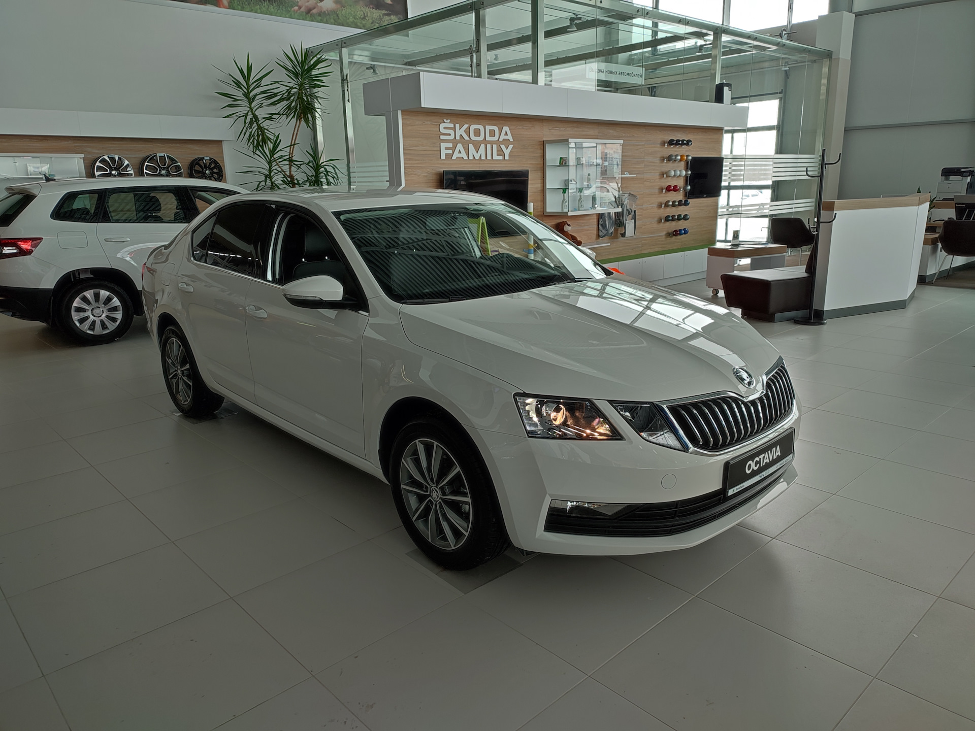 Шкода китайской сборки. Skoda Octavia китайская. Шкода в Китае. Новая Шкода китаец.