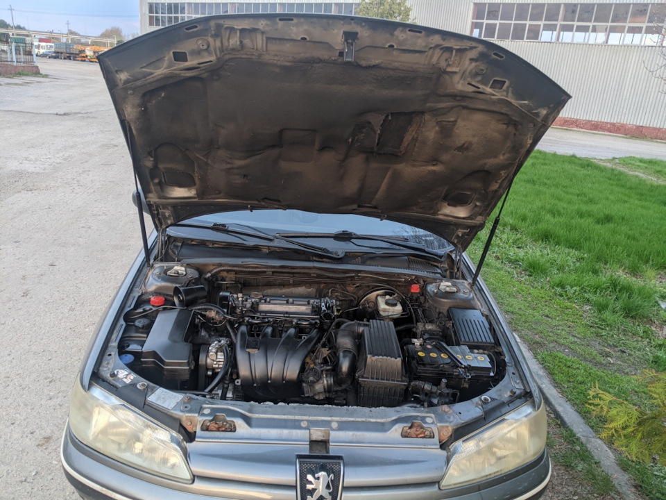 Полировка фар, а так же небольшая уборка под капотом — Peugeot 406, 2 л ...