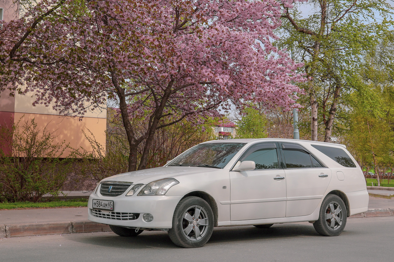 История моих универсалов (многабукав) — Toyota Mark II Blit, 2 л, 2006 года  | другое | DRIVE2