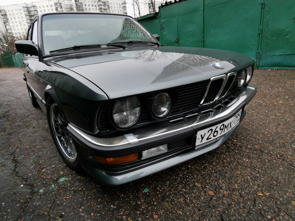 BMW e28 Shark