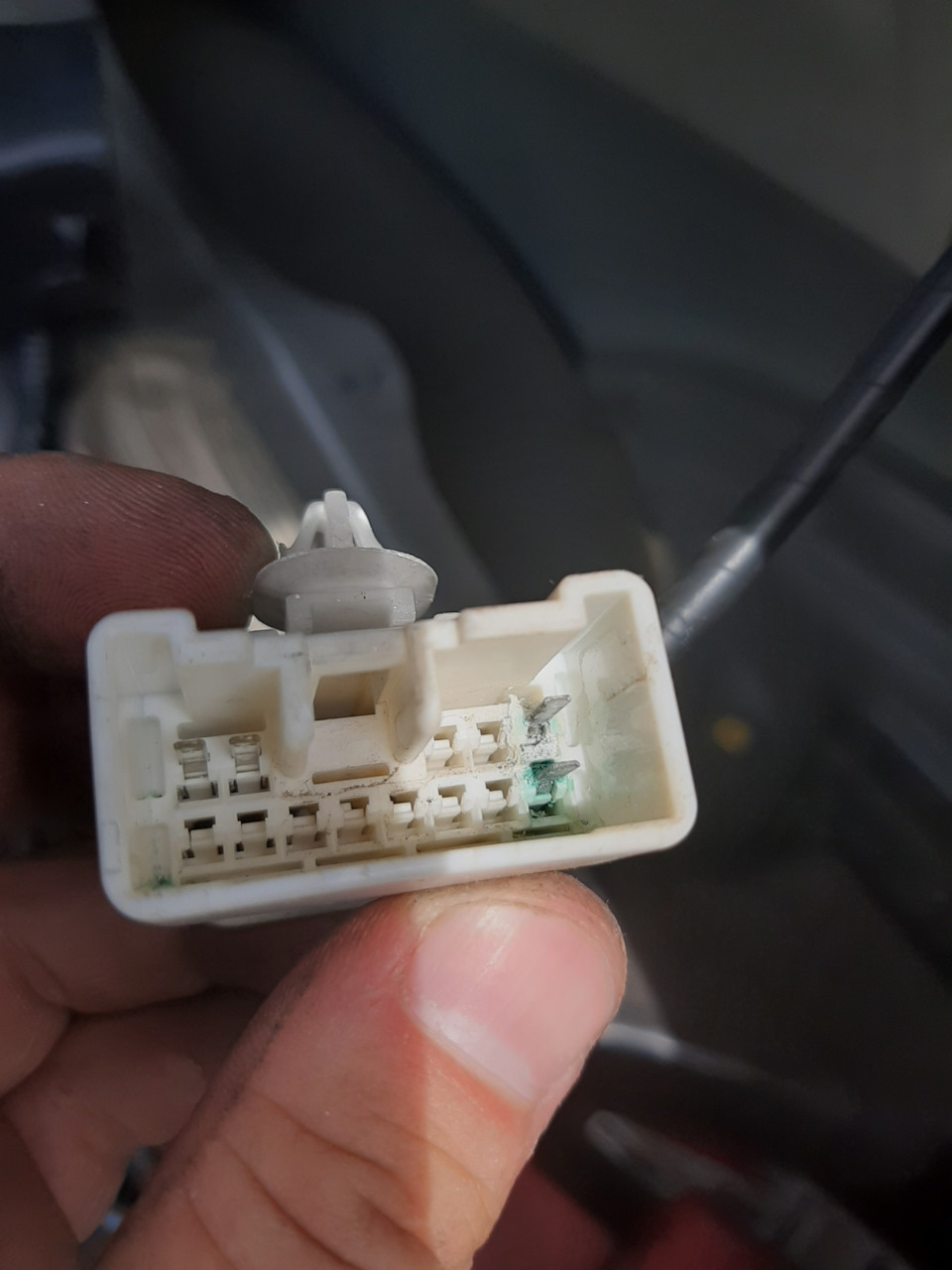 Фото в бортжурнале Toyota Prius (20)