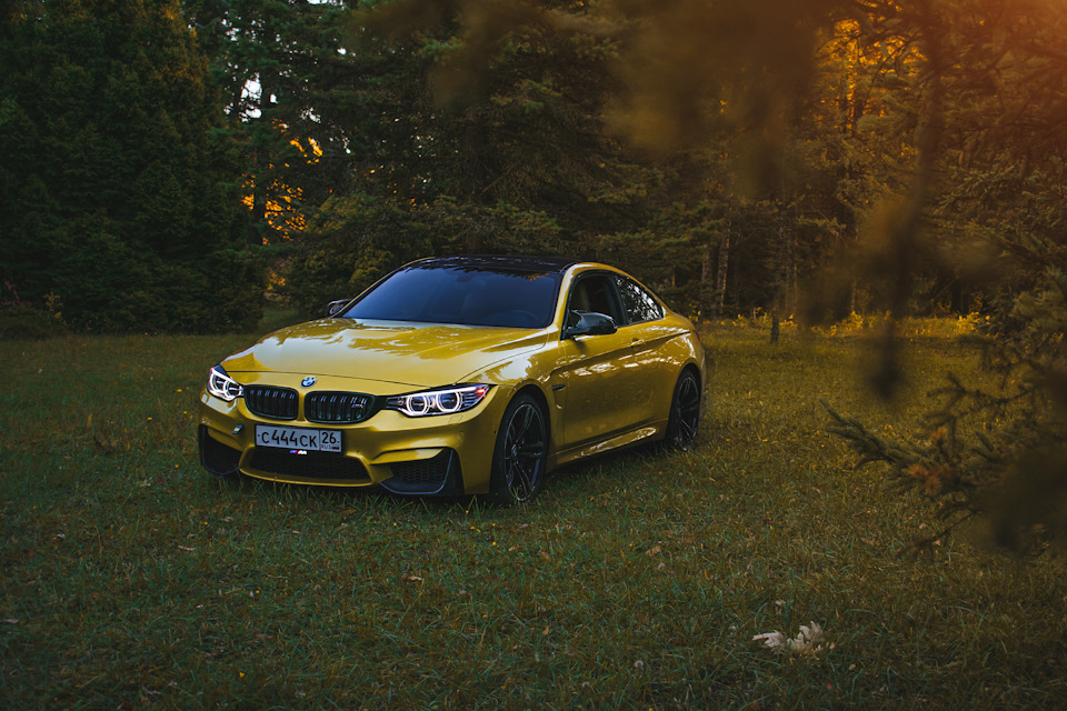 Фотосет BMW M4 в Ботаническом саду | Ставрополь — DRIVE2