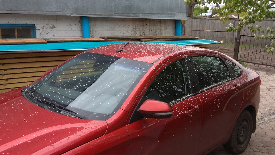 Звук при повороте руля и проезде неровностей — Lada Vesta, 1,6 л, 2015 ...