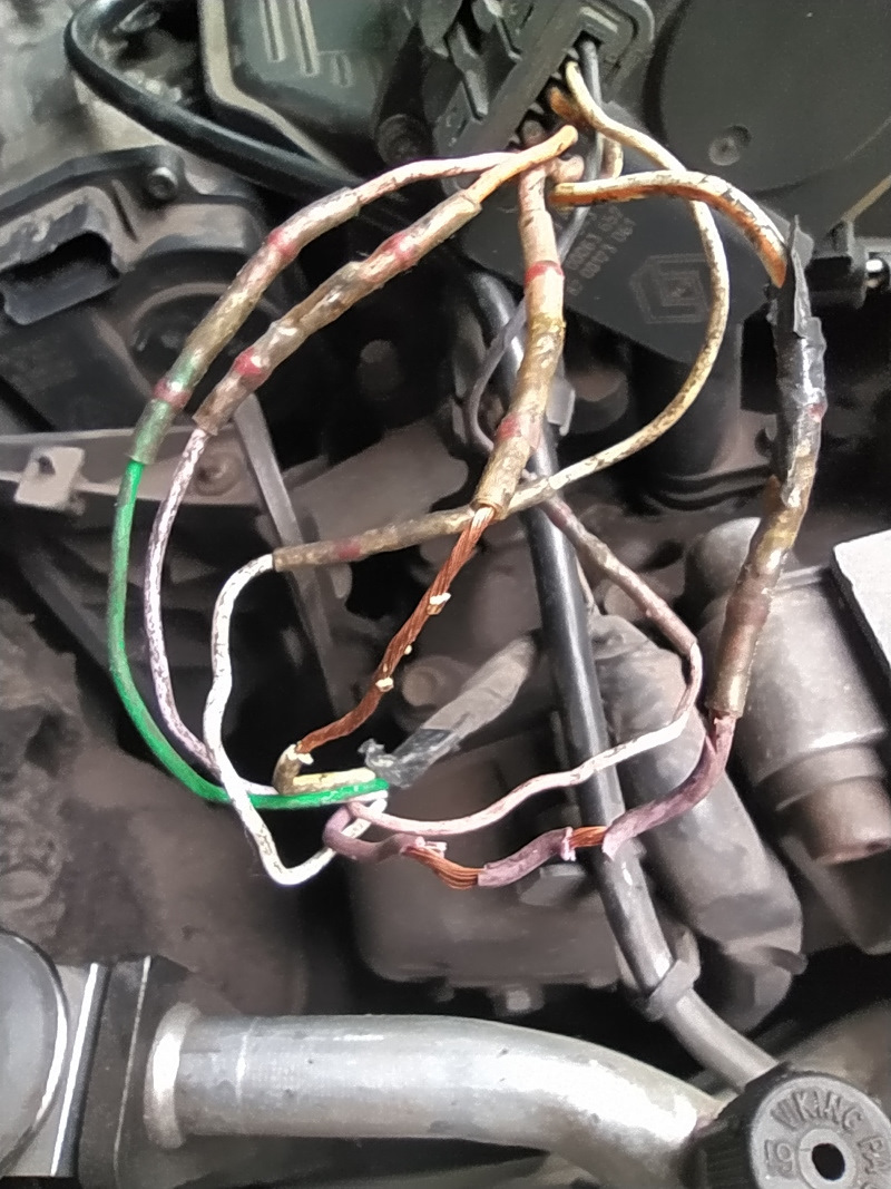 Фото в бортжурнале Renault Clio II