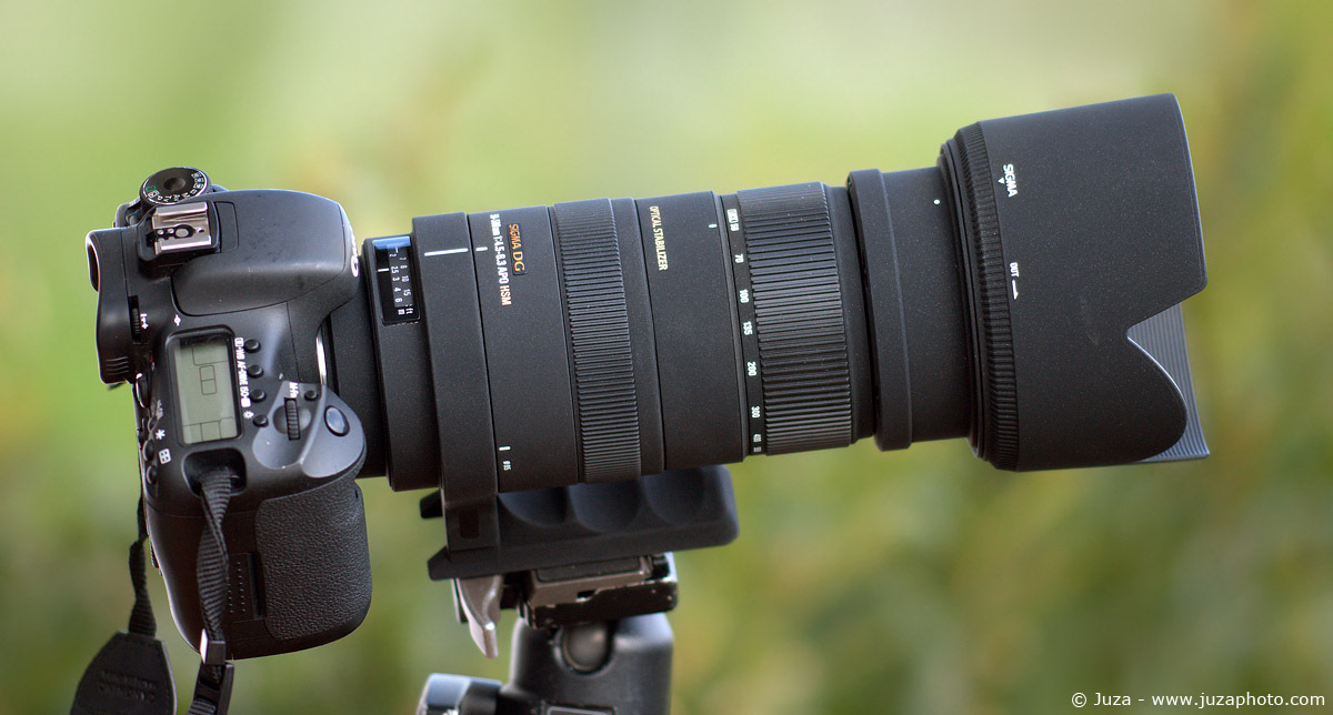 Dg ex. Sigma 50-500 mm f/4.5-6.3. Sigma af 50-500mm f/4.5-6.3 apo DG os HSM Nikon f. Sigma 50-500 Nikon. Sigma 50-500mm f/ 4-6.3.
