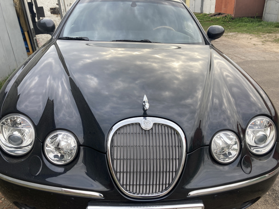 Сетка в ноздри — DRIVE2