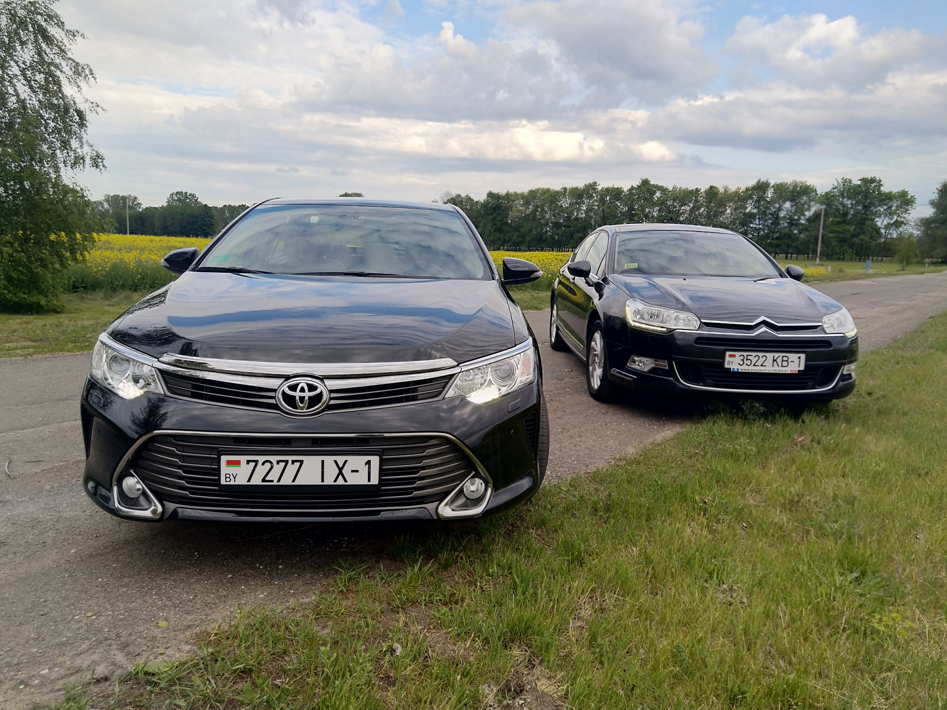 Вам лягушку или суши? Дилетантский обзор Toyota Camry V55 и Citroen C5X7 —  Citroen C5 (2G), 1,6 л, 2011 года | наблюдение | DRIVE2