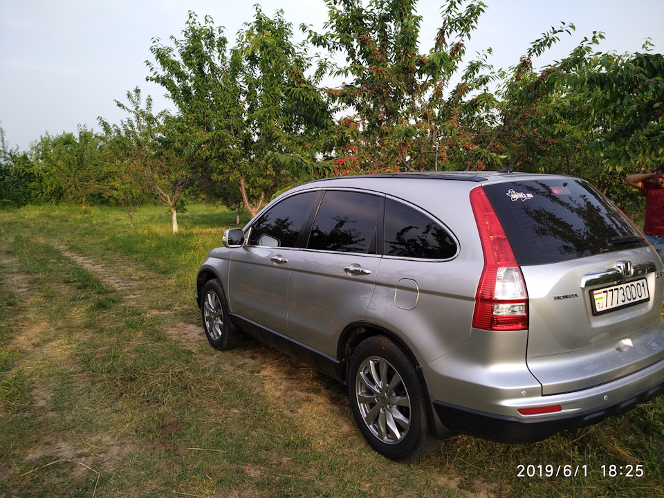 Приехали в сад! — Honda CR-V (RE)
