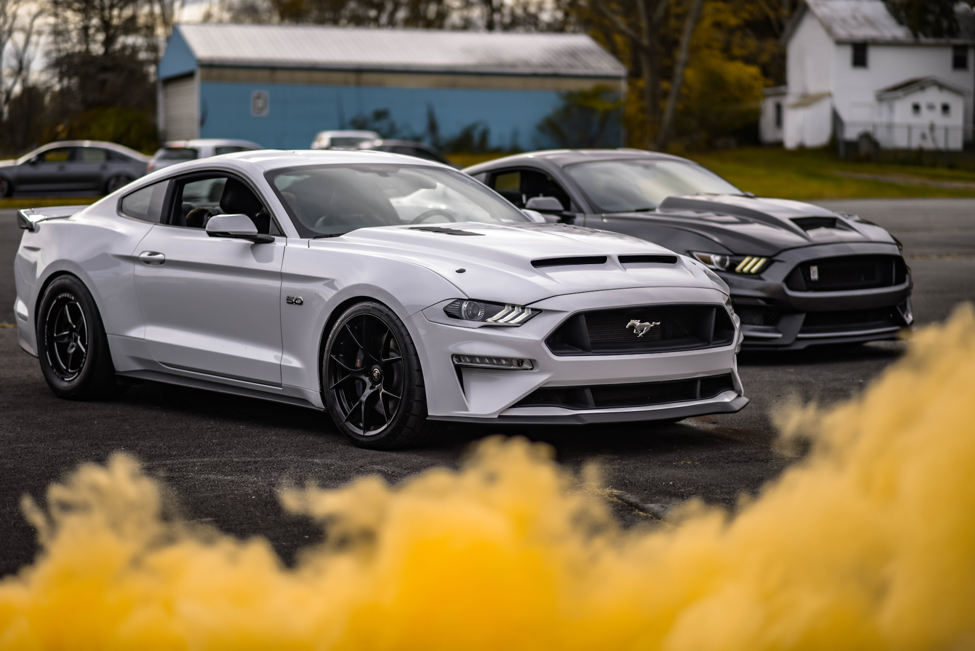 06 Mustang Ford gt