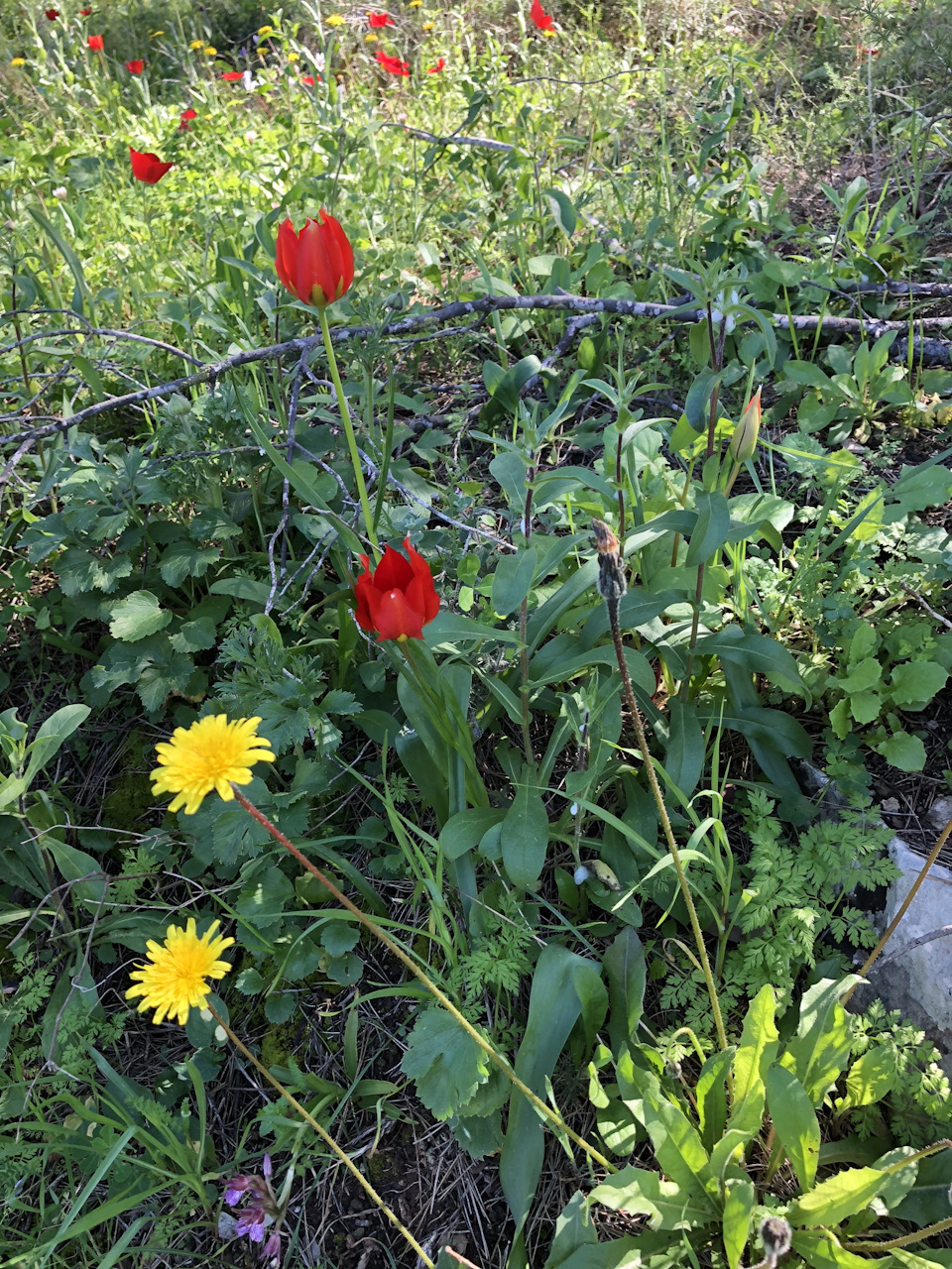 Фото в бортжурнале Suzuki Jimny (1G)