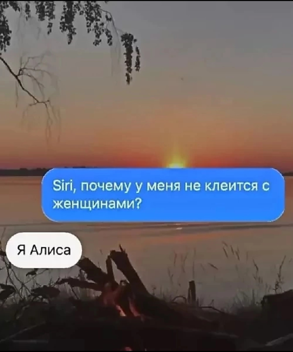 The irony of life's absurdities