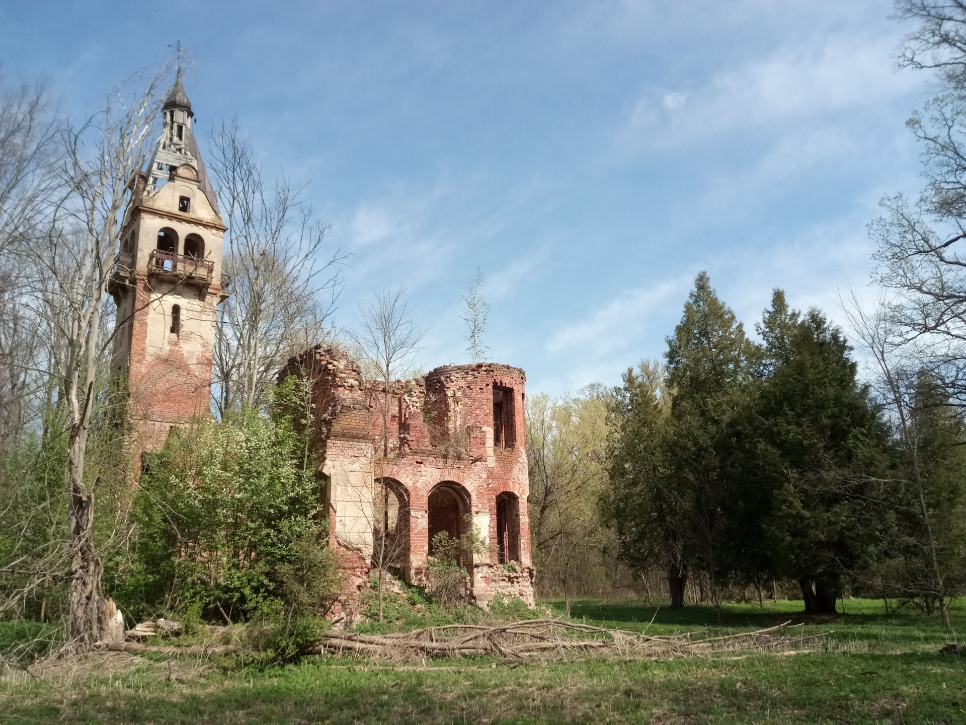 Грузино Новгородская область