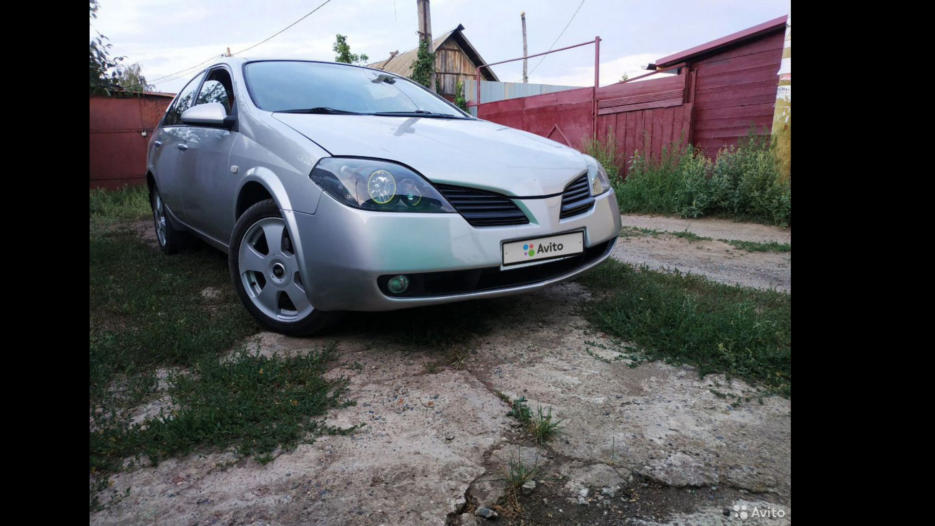 Nissan Primera (P12) 1.6 бензиновый 2006 | Акула на DRIVE2