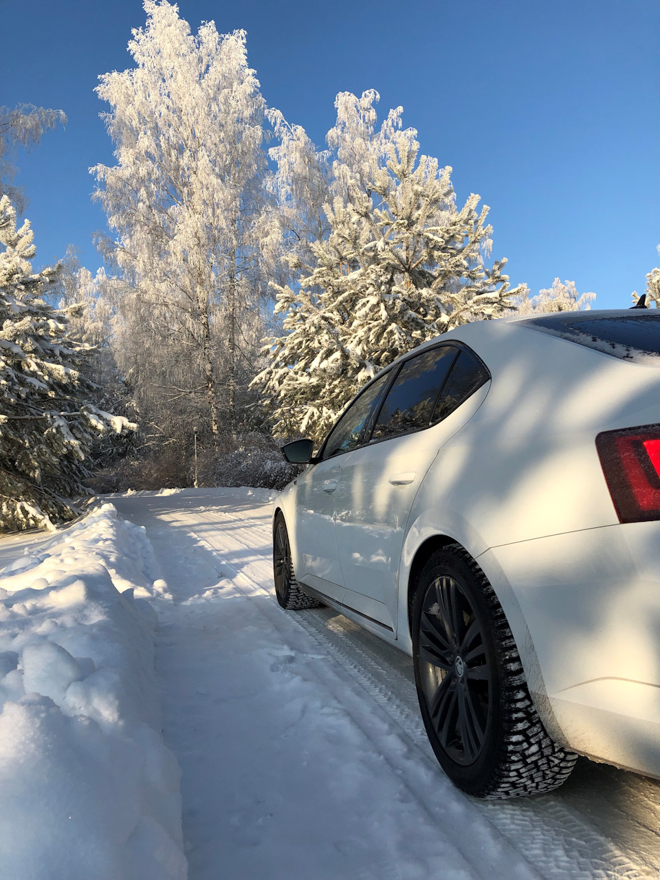 Skoda Superb Winter Forest