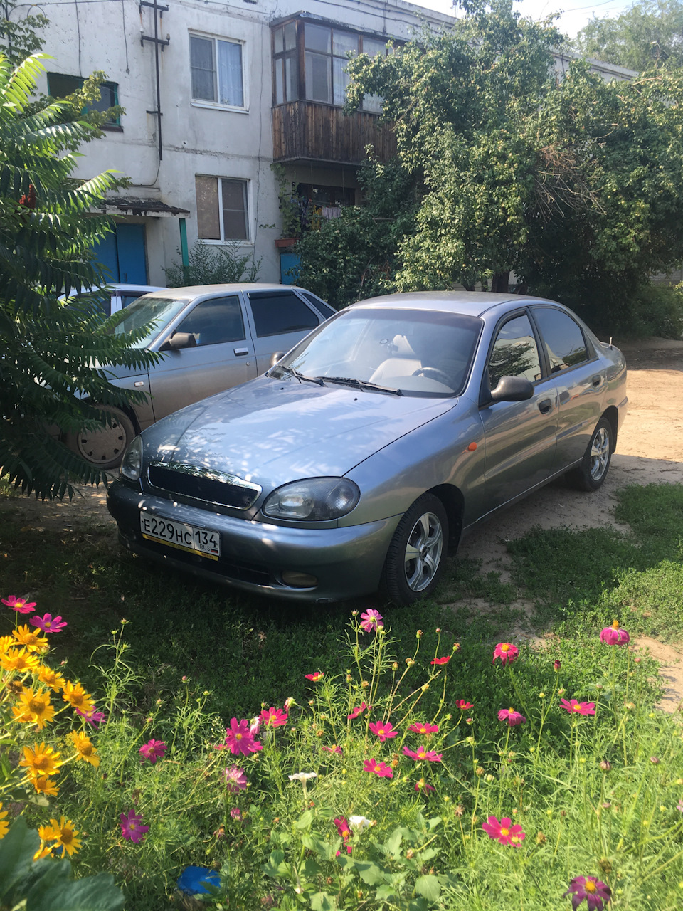 Серый ланос. Chevrolet lanos серый. Chevrolet lanos серый металлик. Темно серый Ланос. Шевроле Ланос серый цвет.