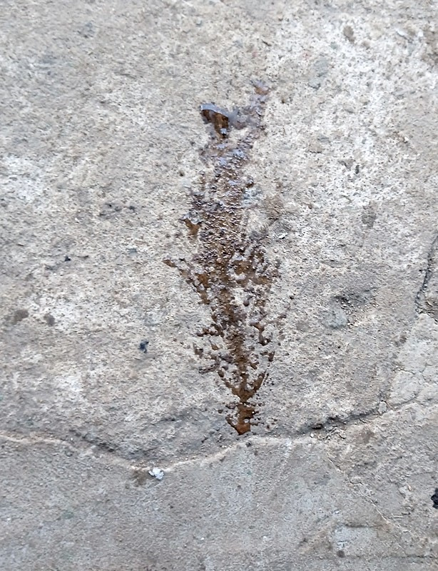 Солярка пошла в поддон — Ford Galaxy (Mk I), 1,9 л, 1999 года | своими ...