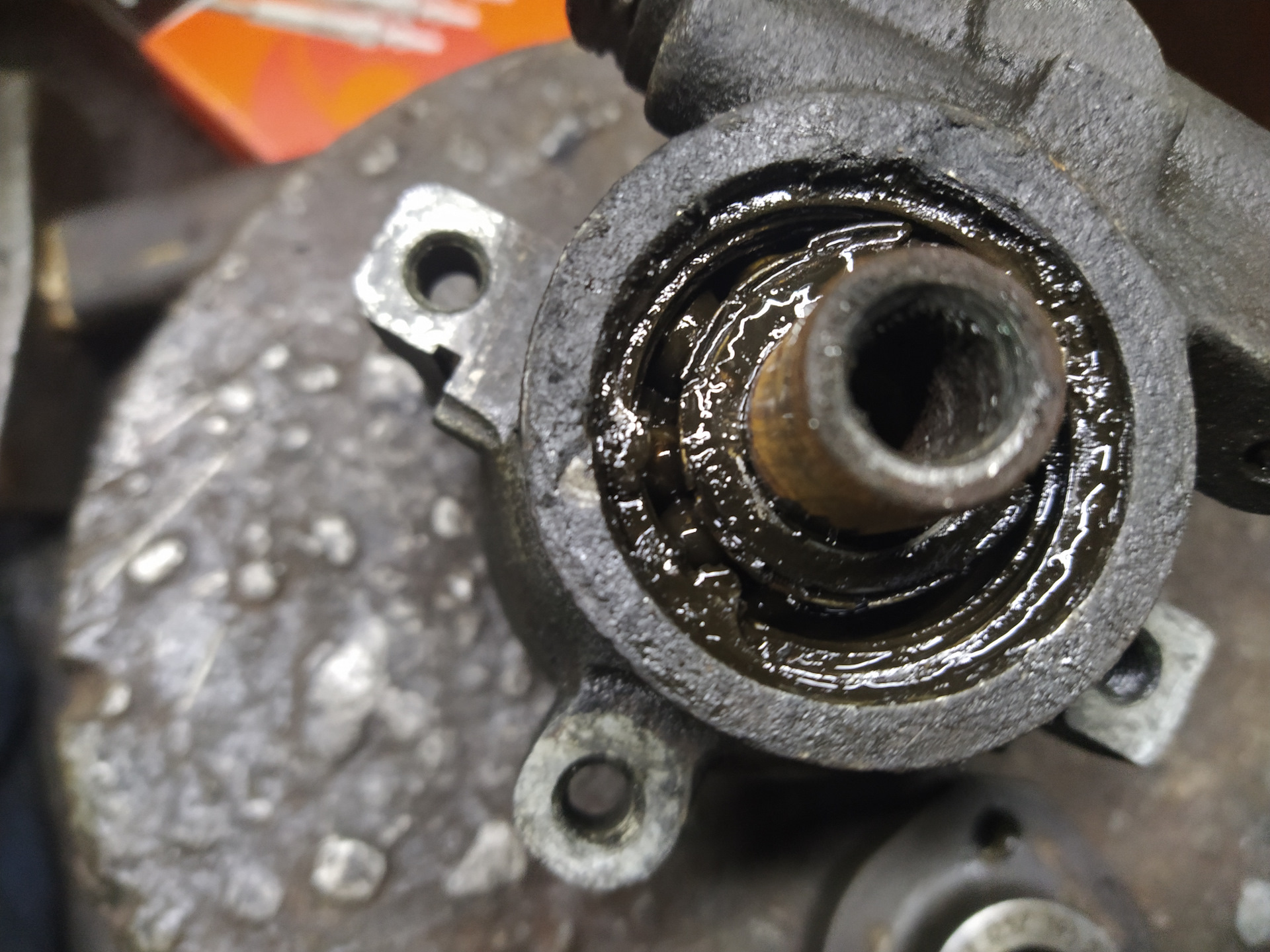 Amelia watson. да фанки стайл. едут!!!!! смешная картинка. подшипник гур мерседес. гуры ехал.