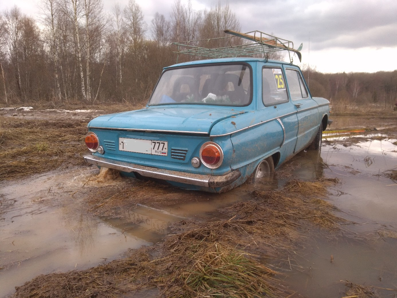 Заброшенный Запорожец в лесу