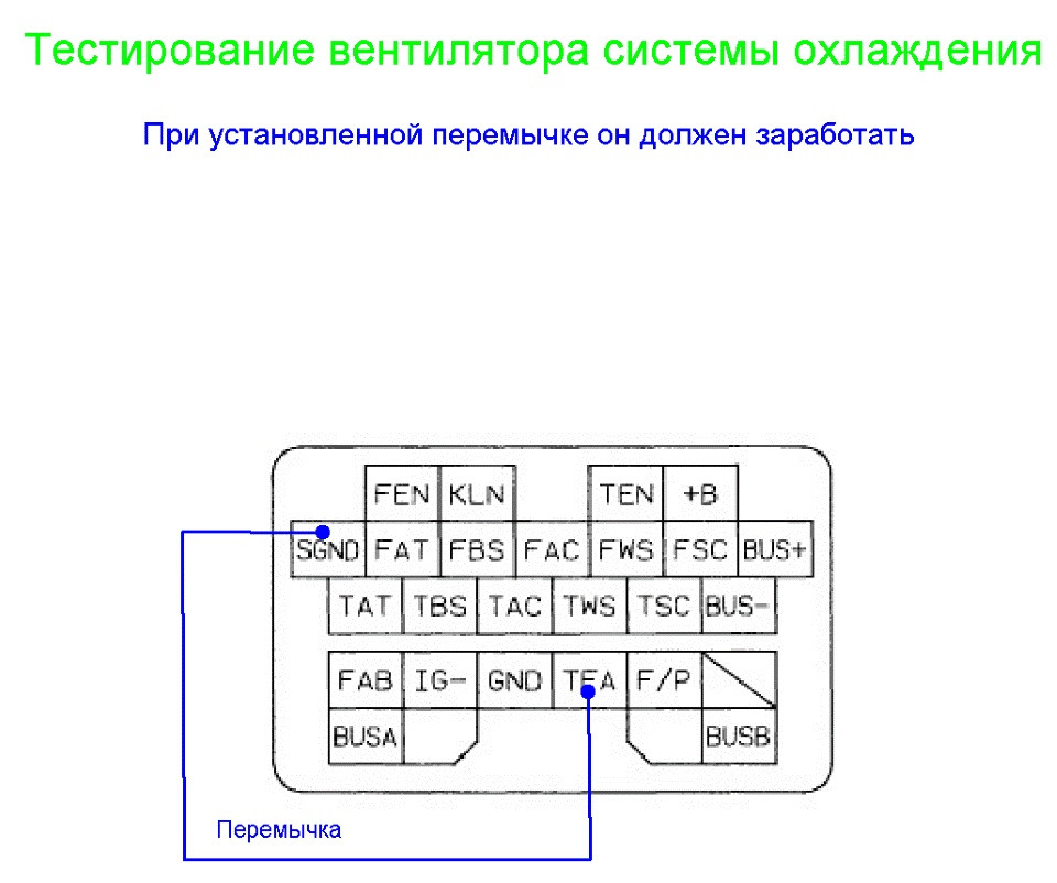 Самодиагностика мазда фамилия 1999