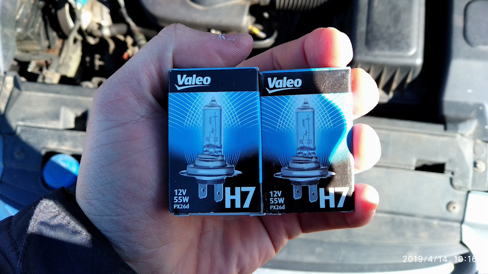 2019.04.14_Очень вежливый лось… — Citroen C5 (1G), 1,7 л, 2002 года ...