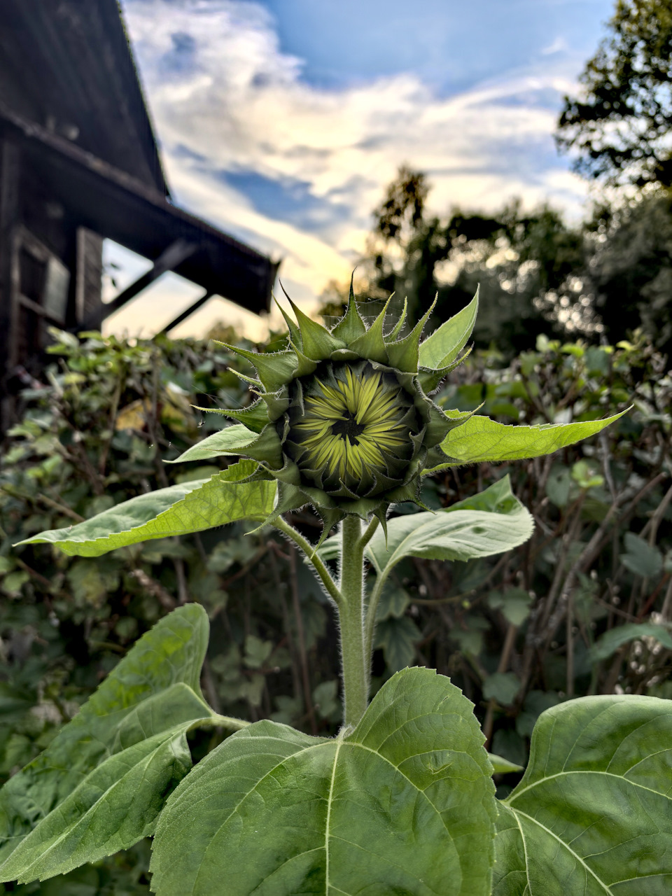 Око наблюдает за Вами))) — Ford Explorer (5G)