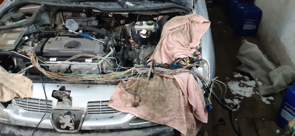 Схема проводки эбу 1.4 мех.дроссель 2005г — Сообщество «Peugeot 206 ...